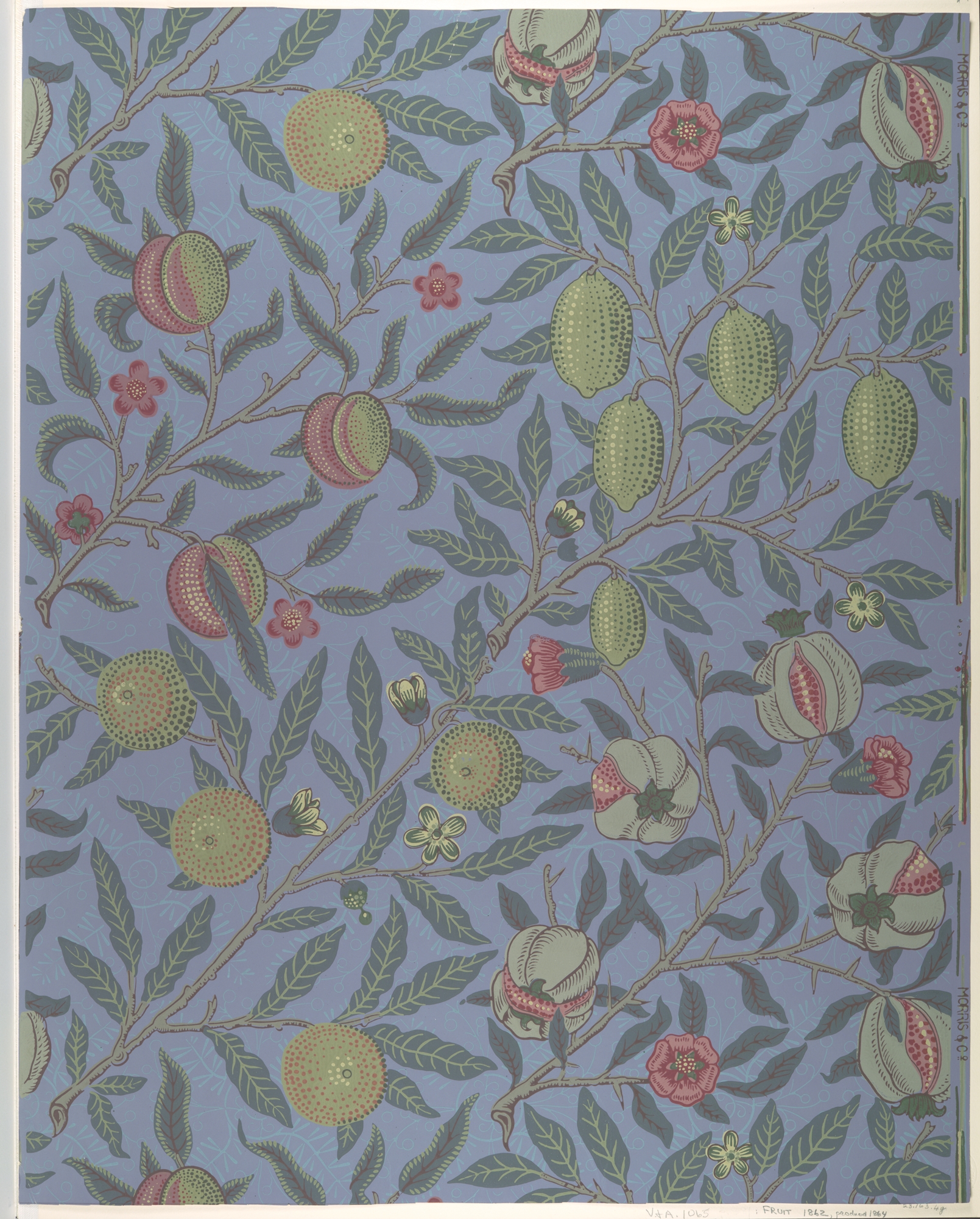 Vintage Fruit Botanical Pattern