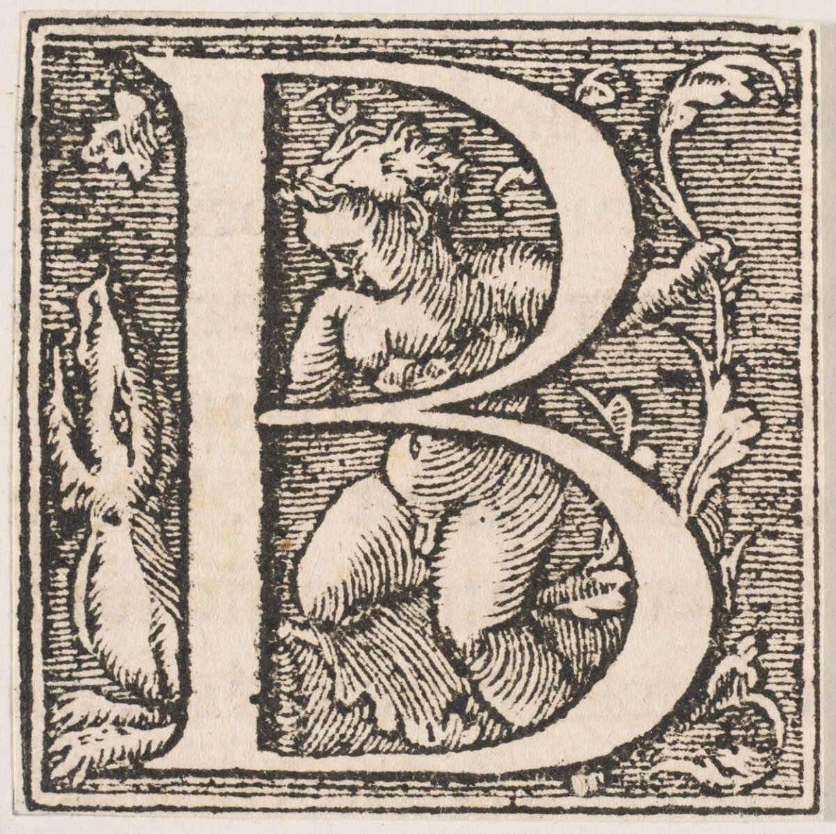 Decorated Woodcut Initial Letter B