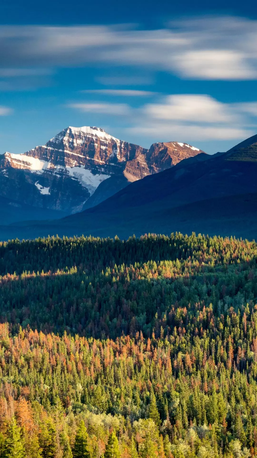 Landscapes