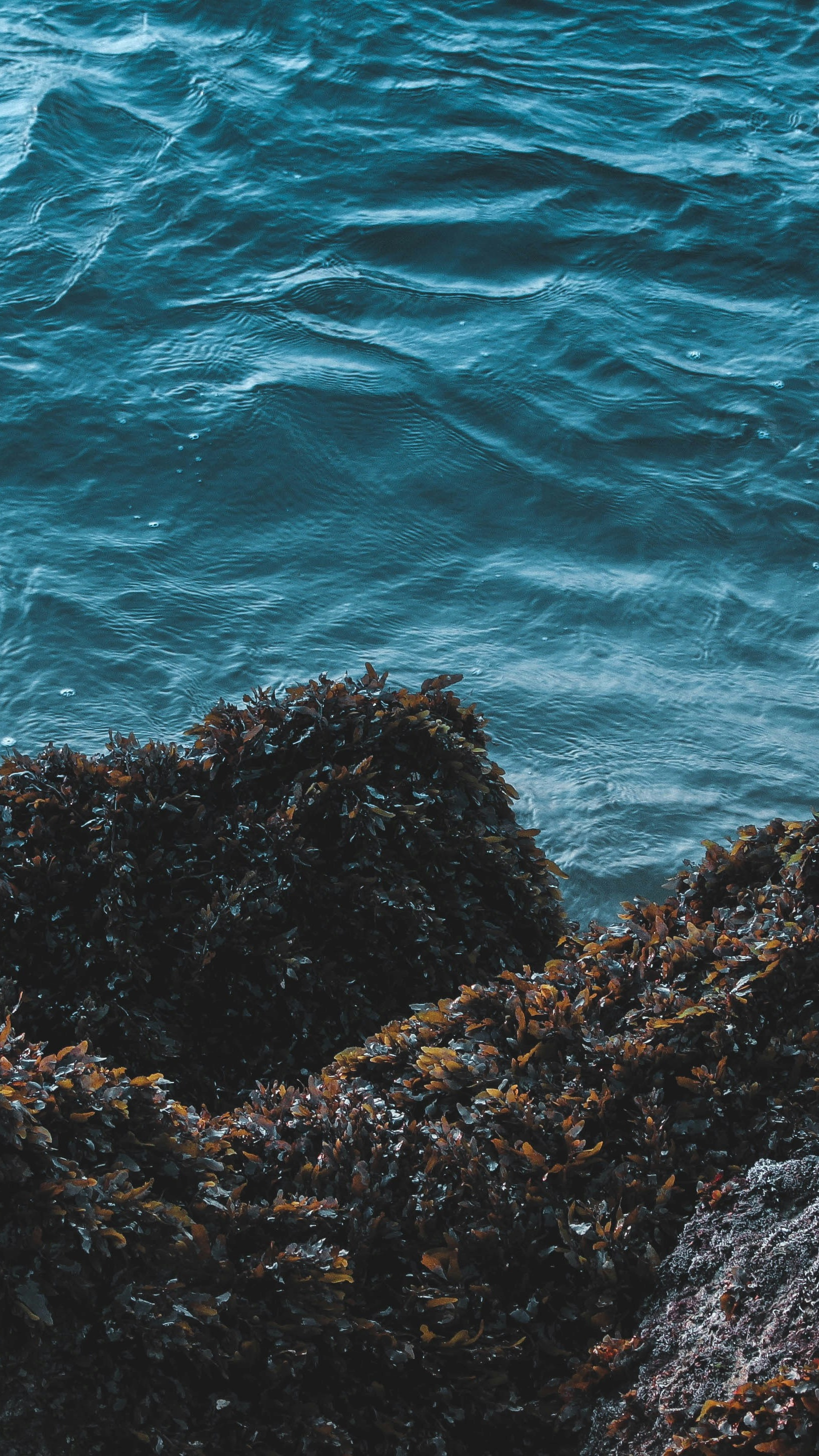 Wallpapers
