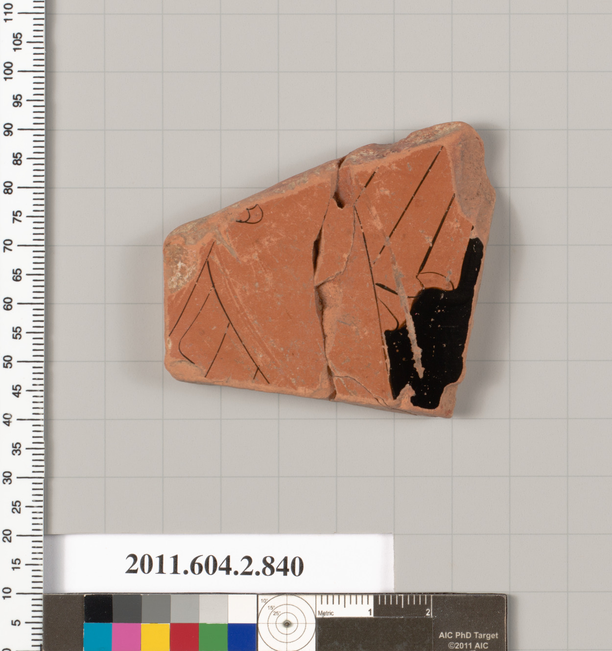 Ancient Pottery Fragment Specimen