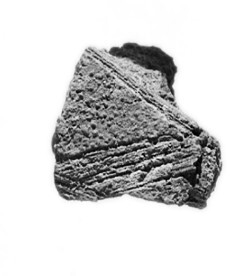 Black and White Porous Rock Specimen