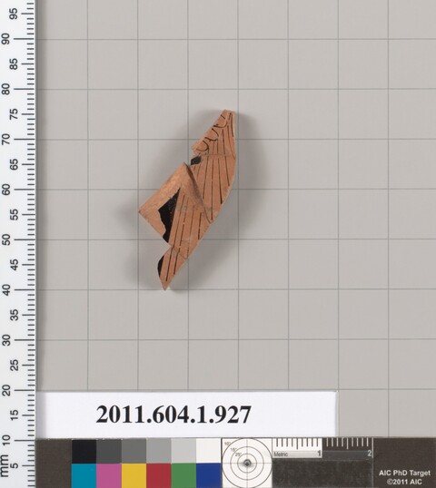 Ancient Pottery Fragment Specimen