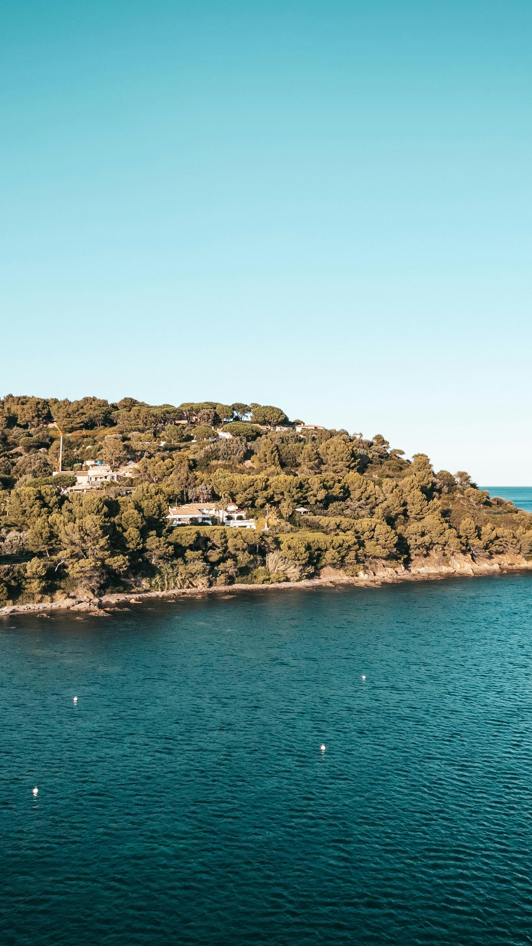 Forested Coastal Headland With Seaside Homes