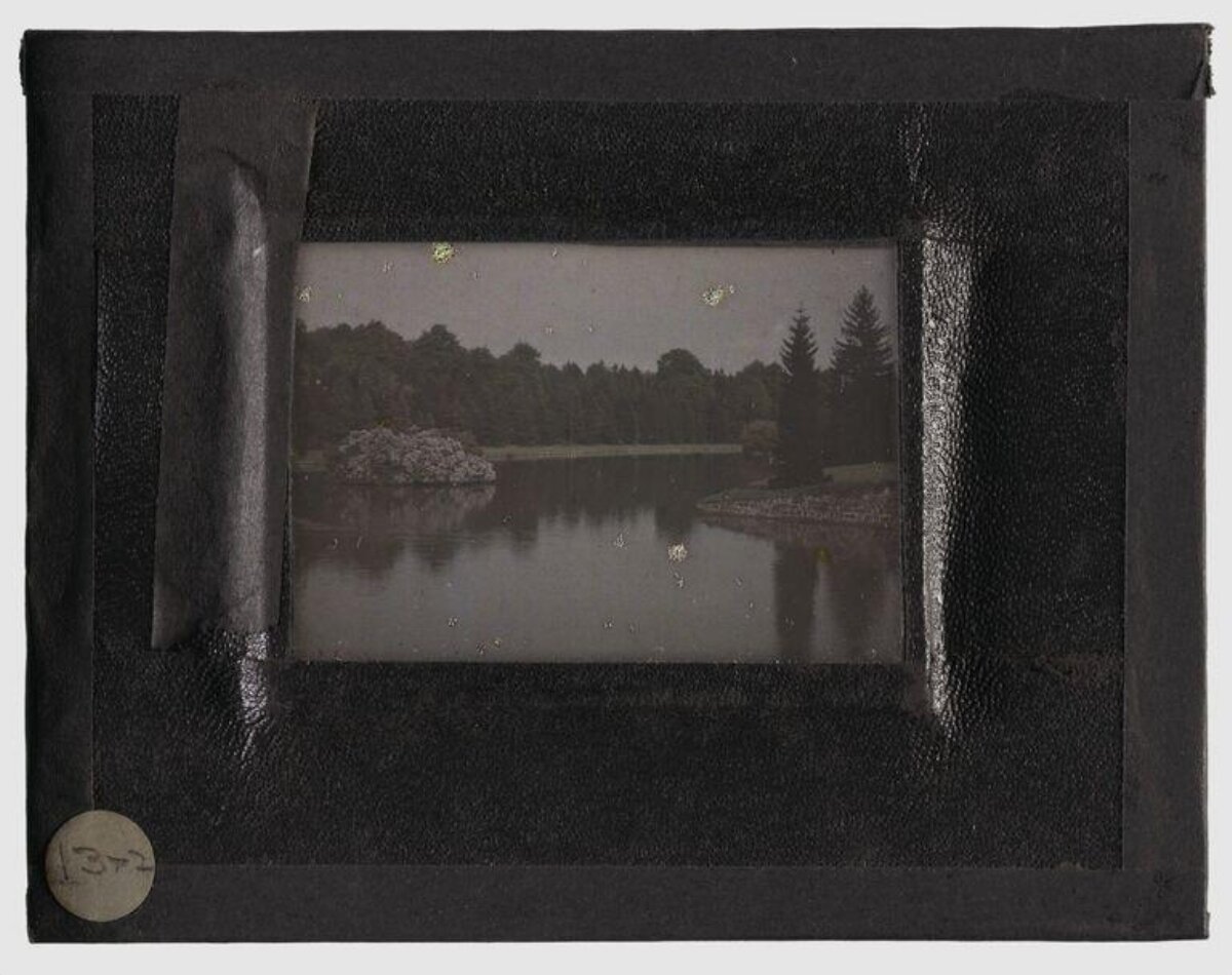 Vintage Forest Lake Landscape