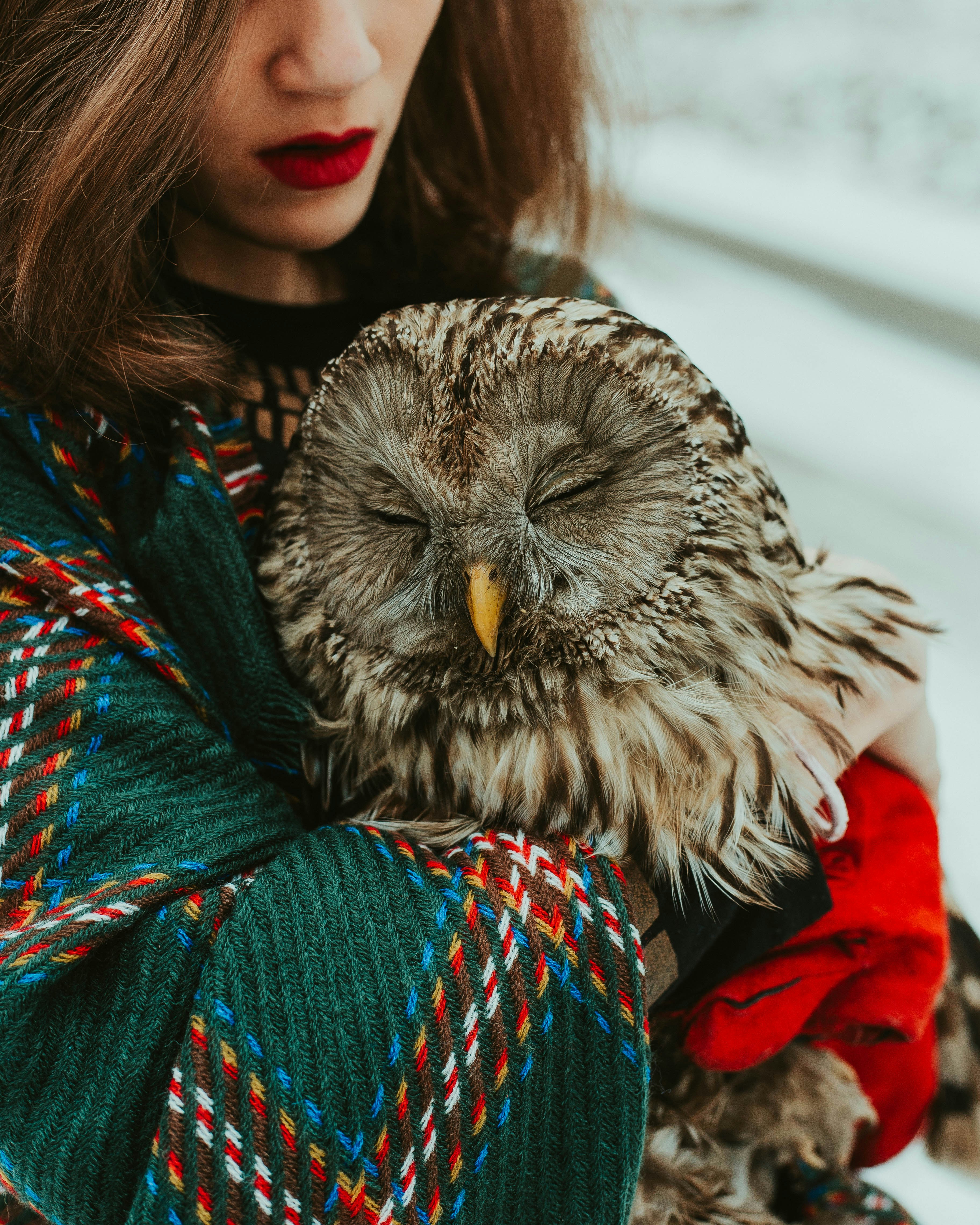 Woman Holding Sleeping Owl
