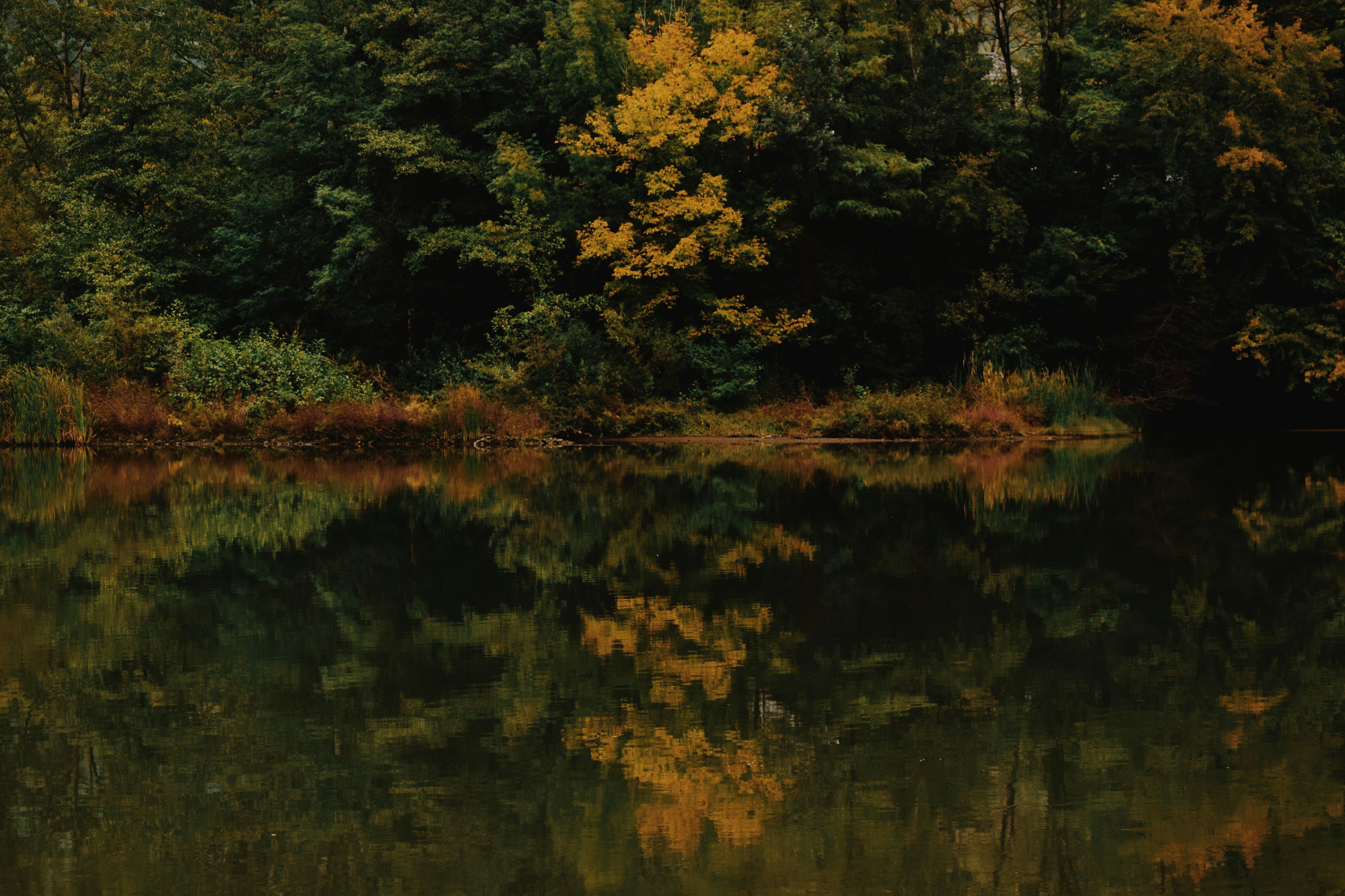 Autumn Forest Lake Reflection