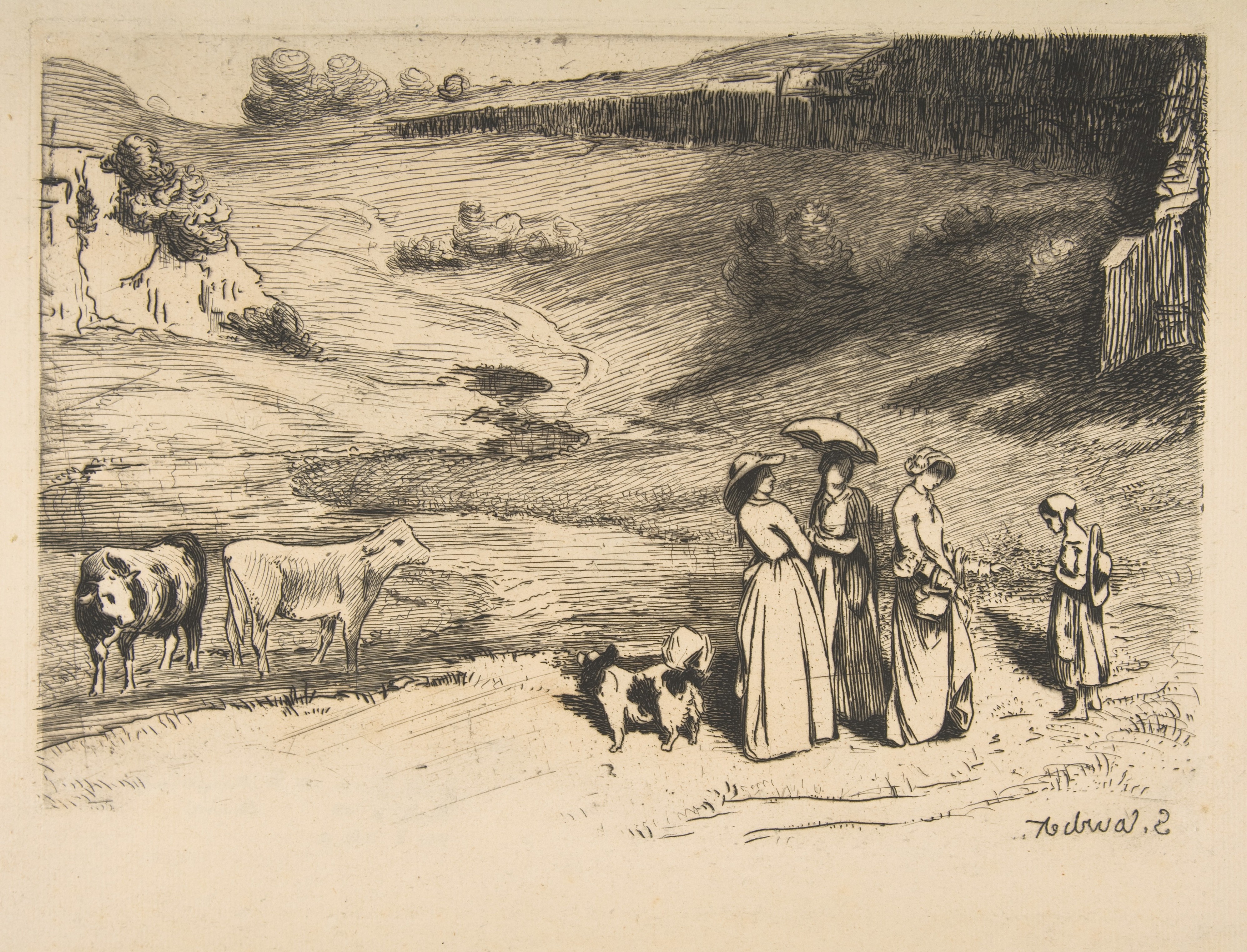 Countryside Walk with Cattle