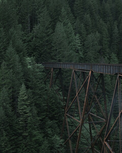 Rusted Railway Trestle in Dense Forest