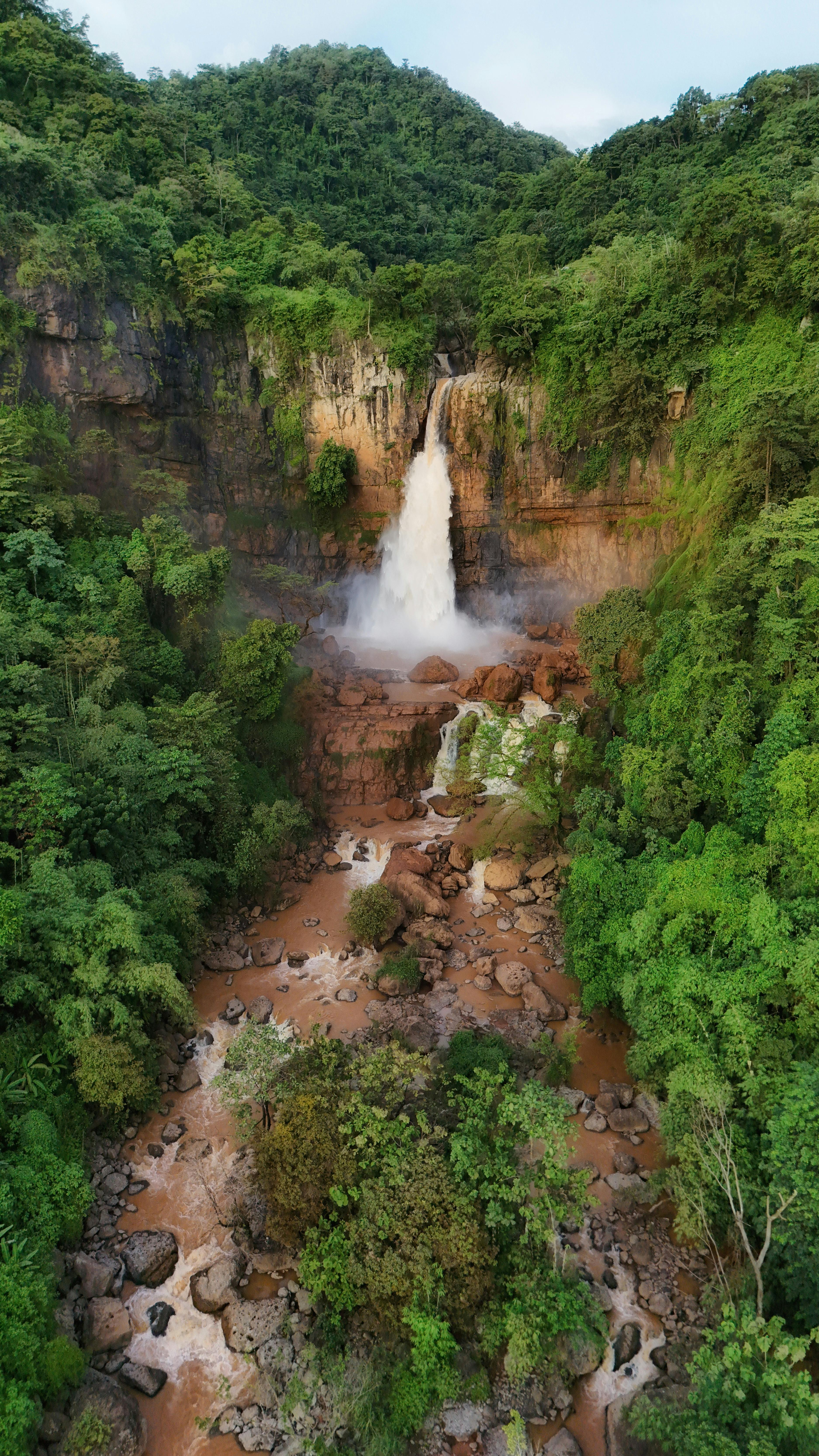 Lush Forest Waterfall