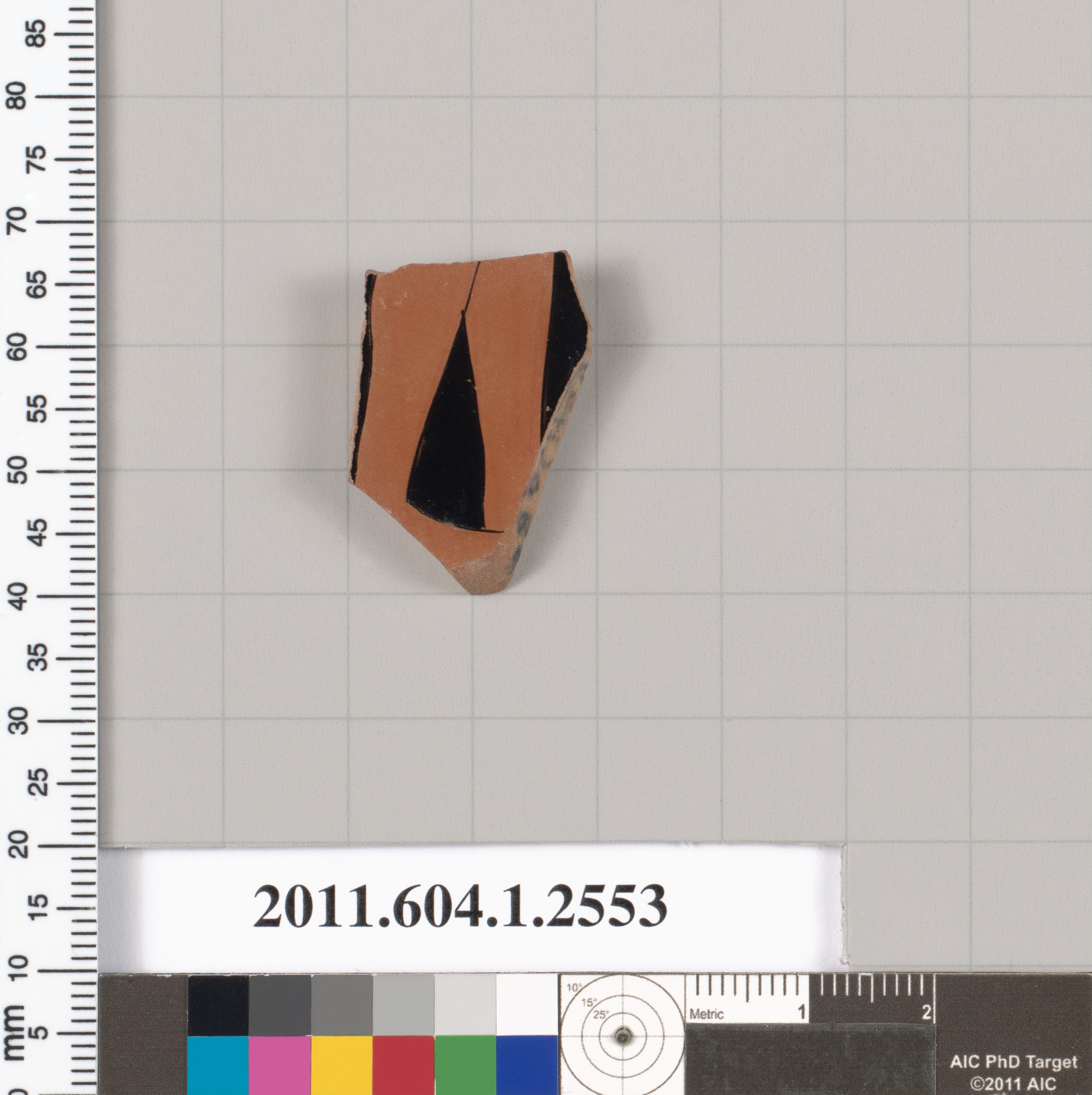 Ancient Terracotta Pottery Shard