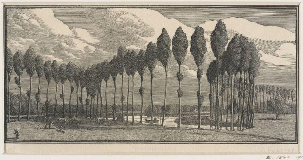 Poplar River Landscape Engraving