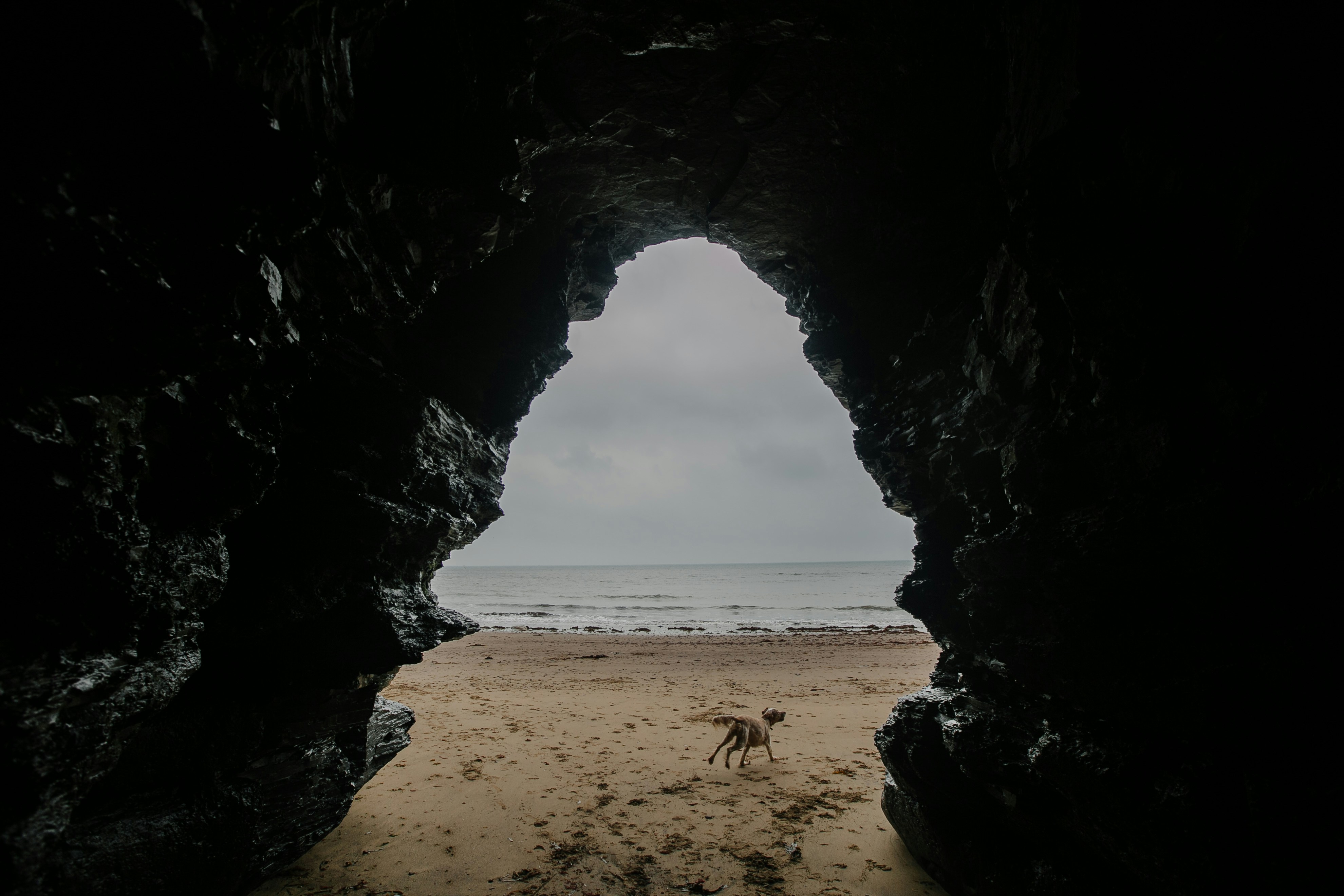 Cave View Of Beach With Running Dog