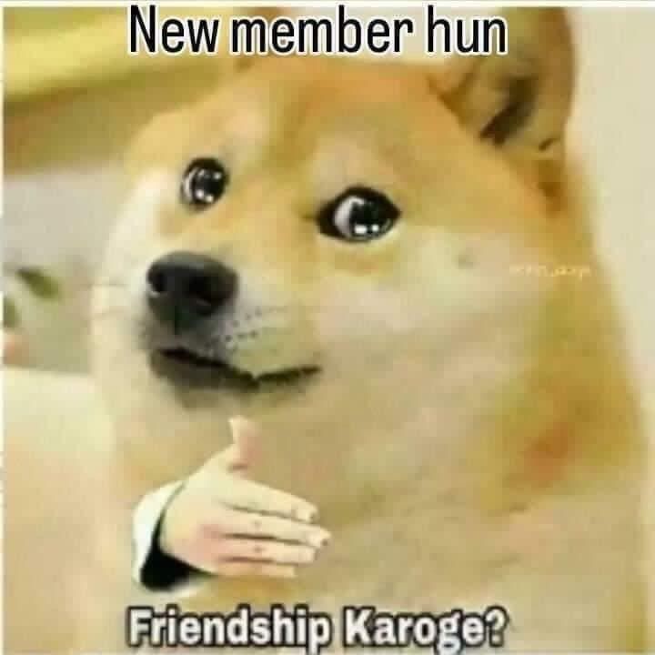 Doge Meme Asking New Member For Friendship