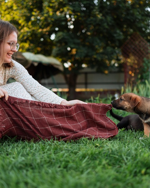 Woman Playing Tug with Puppy on Grass
