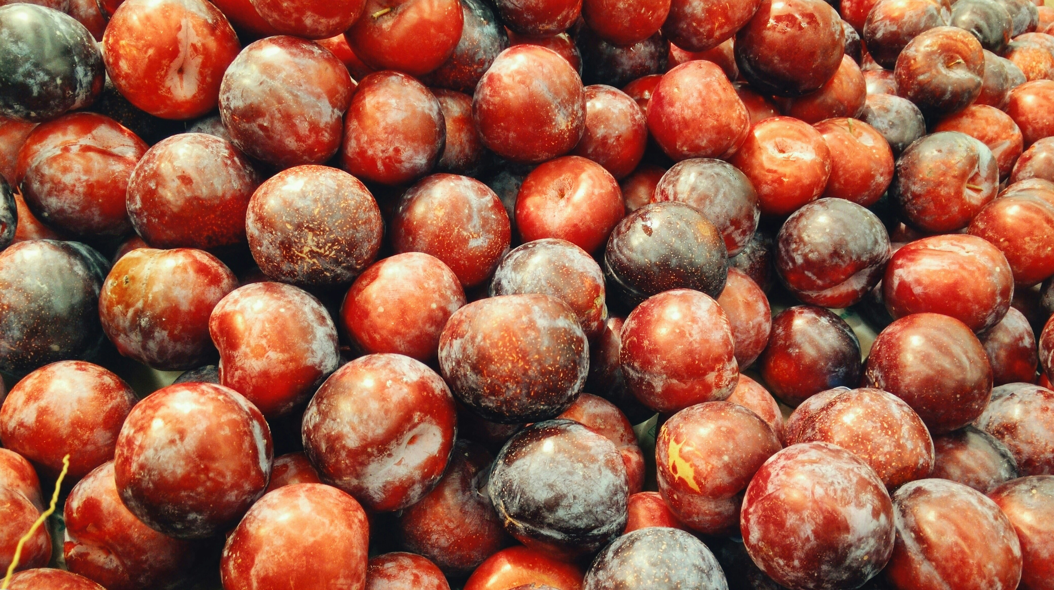 Pile of Fresh Ripe Plums
