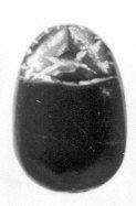 Polished Oval Dark Gemstone