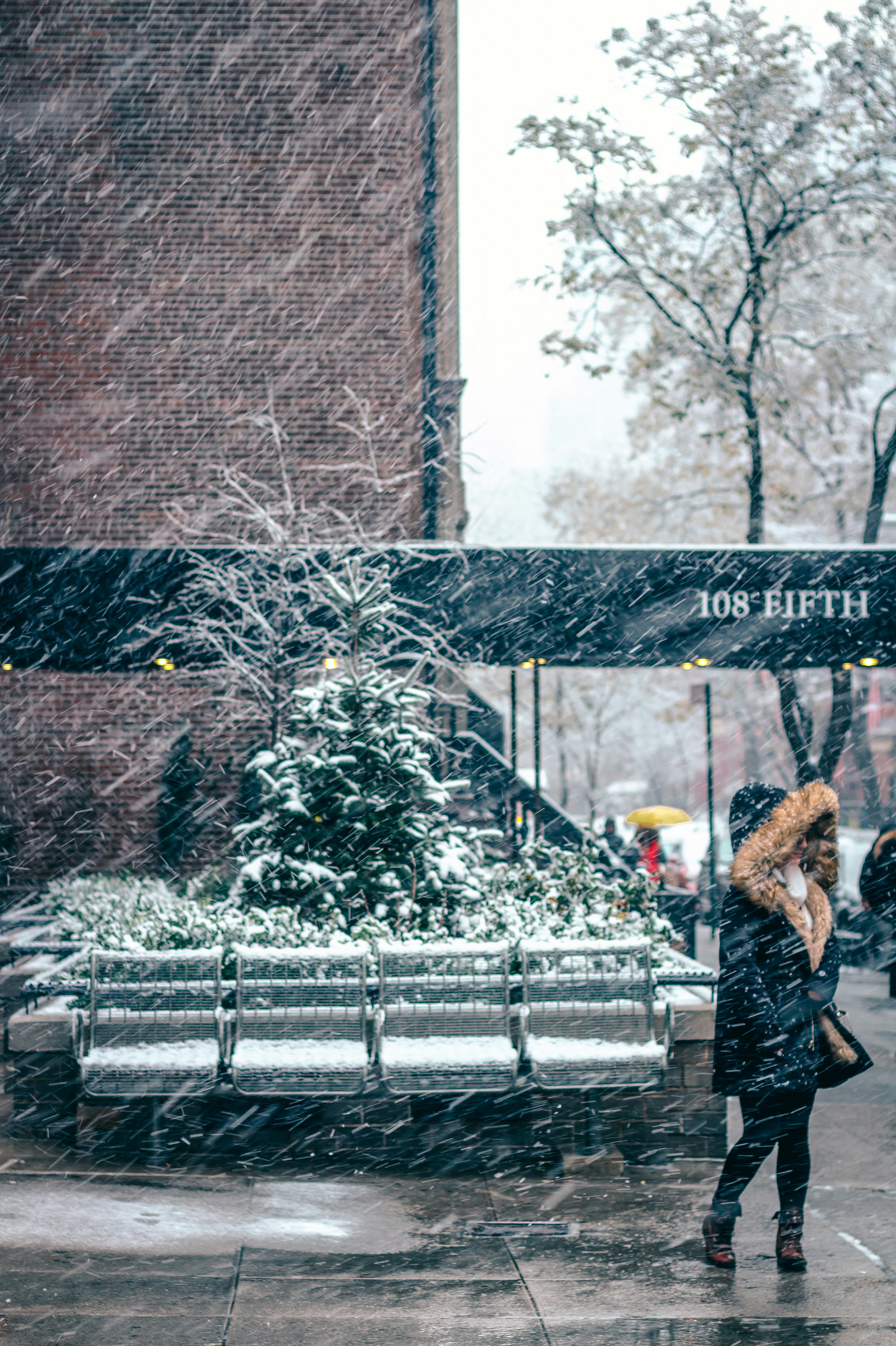Snowy Street at 108 Fifth