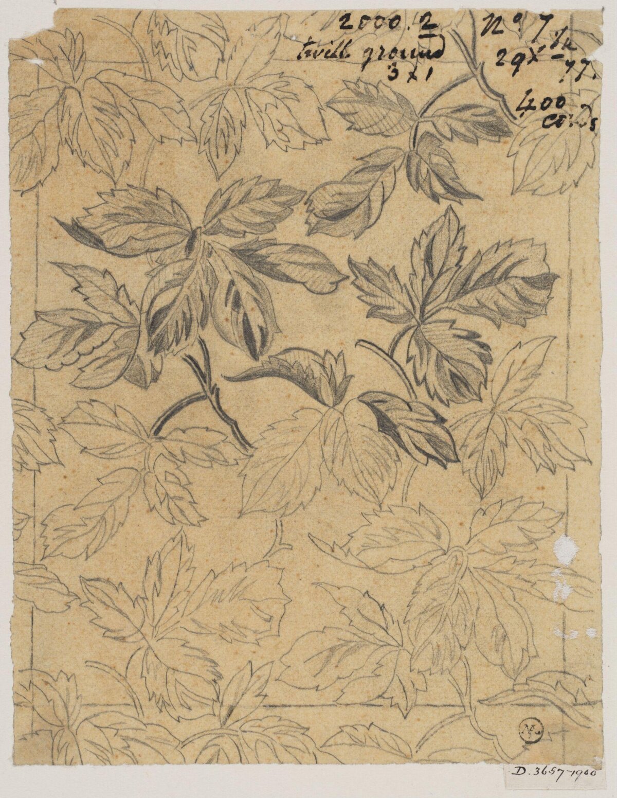 Pencil Sketch of Leaf Pattern Design
