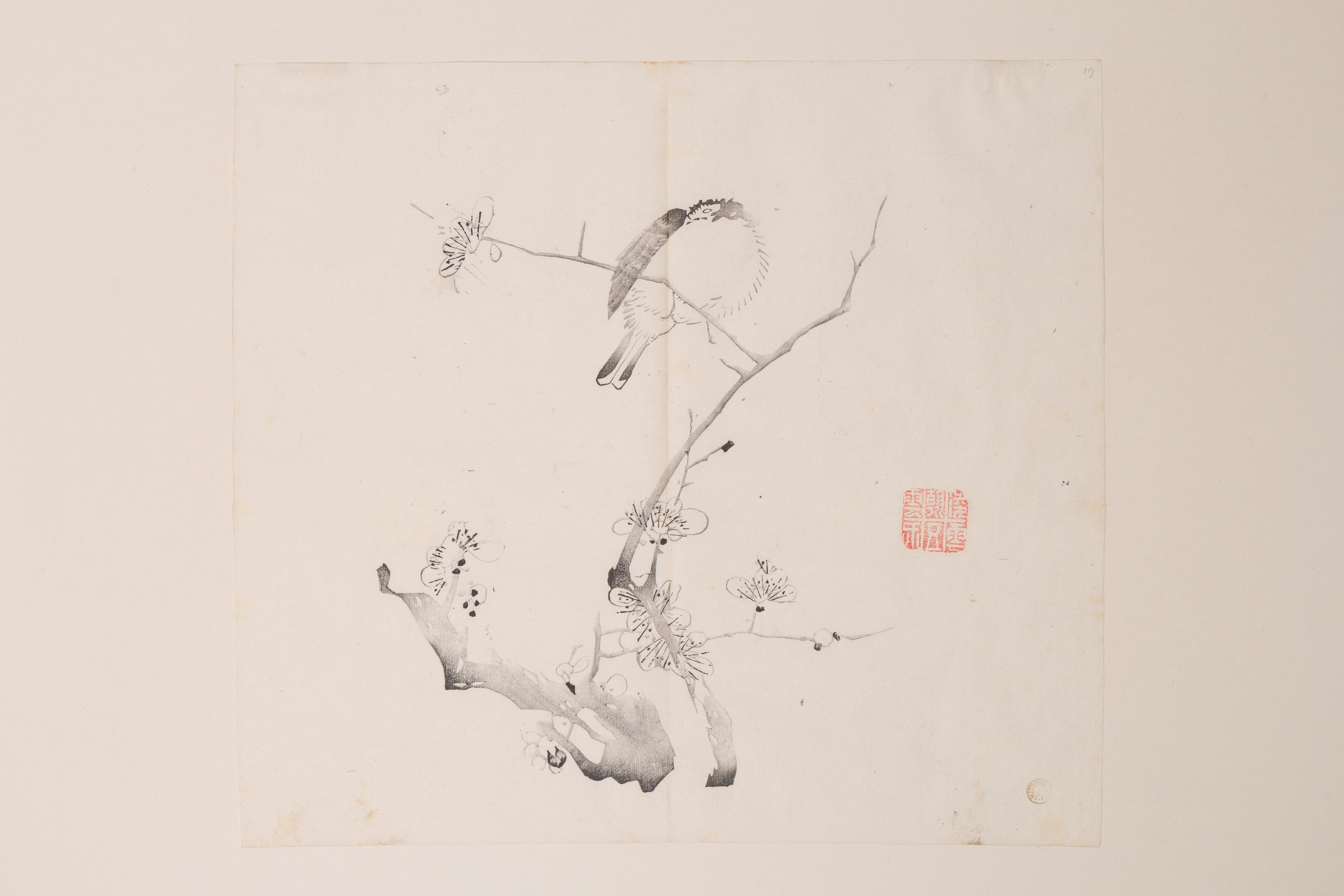 Ink Painting of Bird on Plum Branch