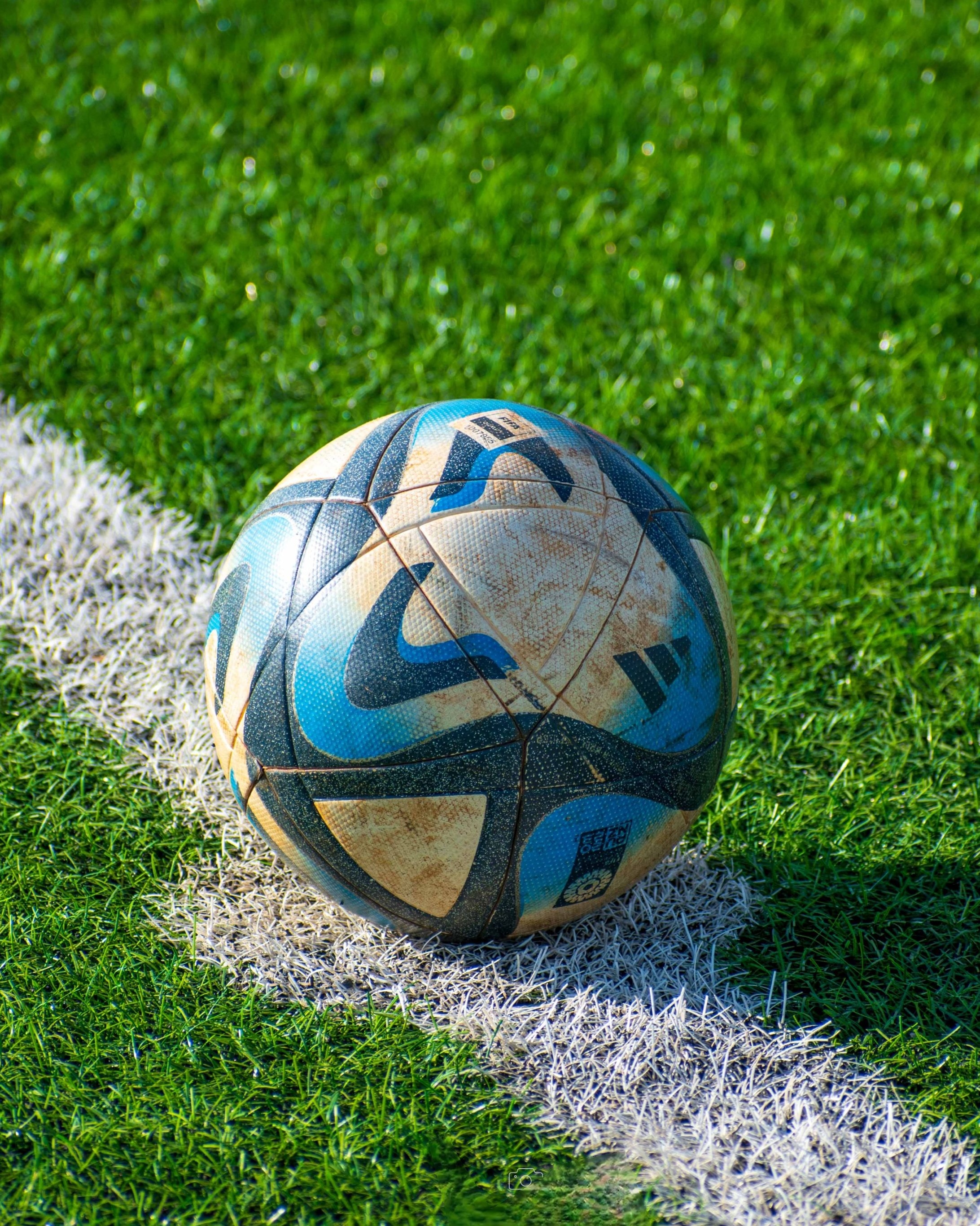 Image 1624293 — Sports