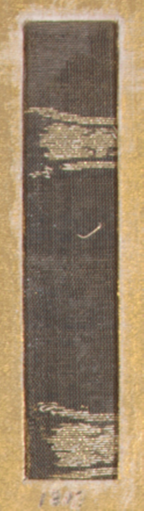 Worn Old Book Spine Close-up