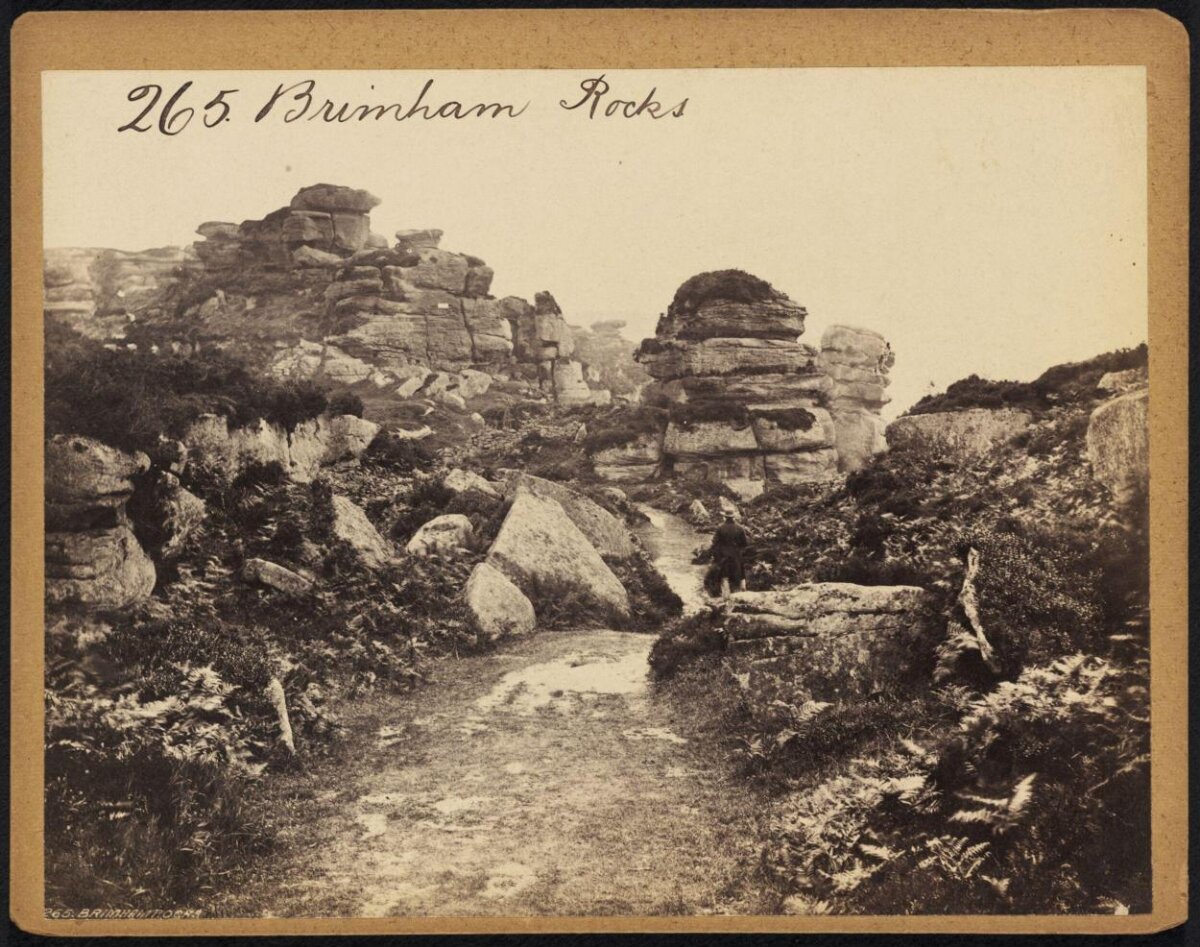 Brimham Rocks Landscape
