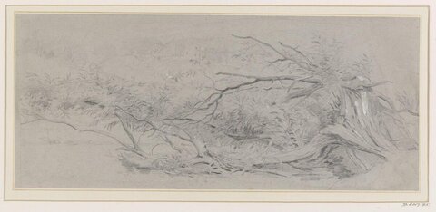 Pencil Sketch of Fallen Trees