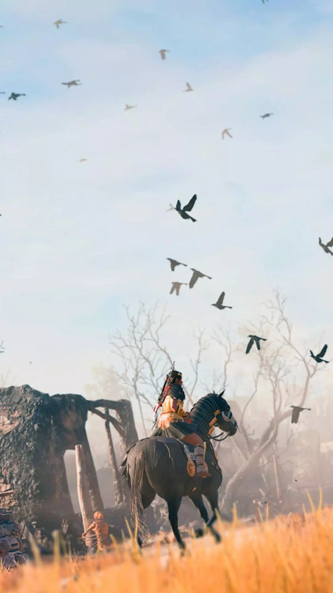 Wallpapers
