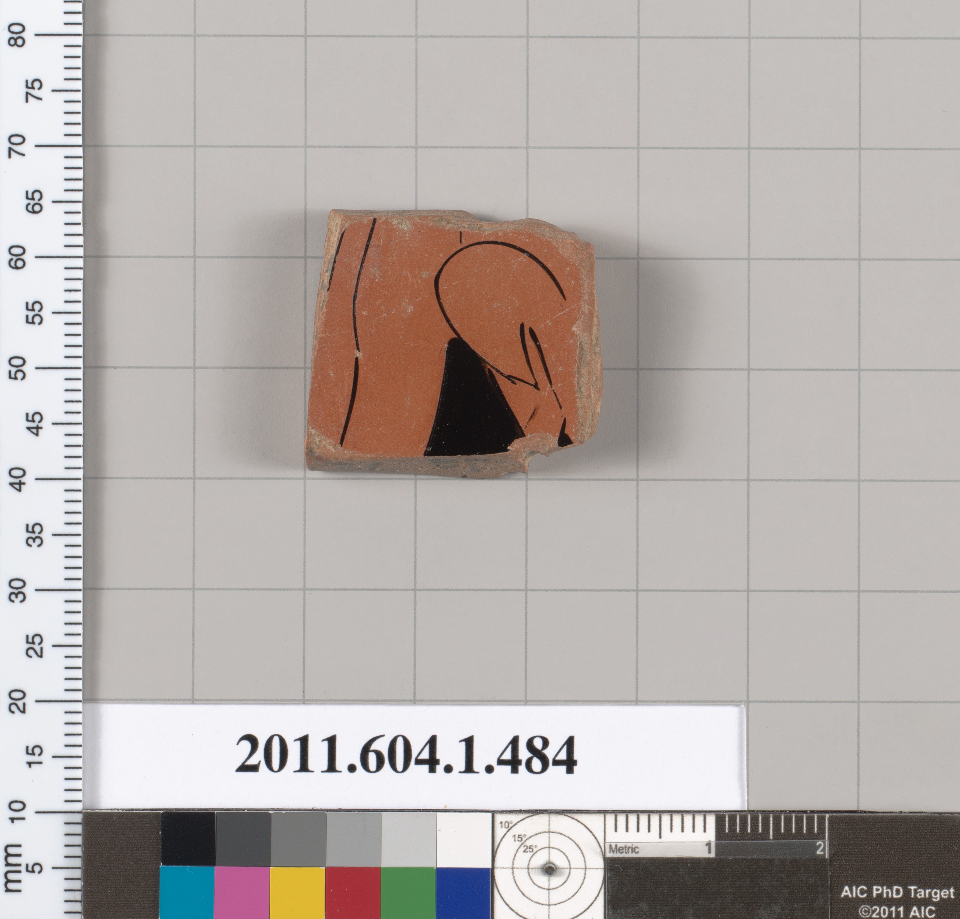 Cataloged Terracotta Pottery Fragment