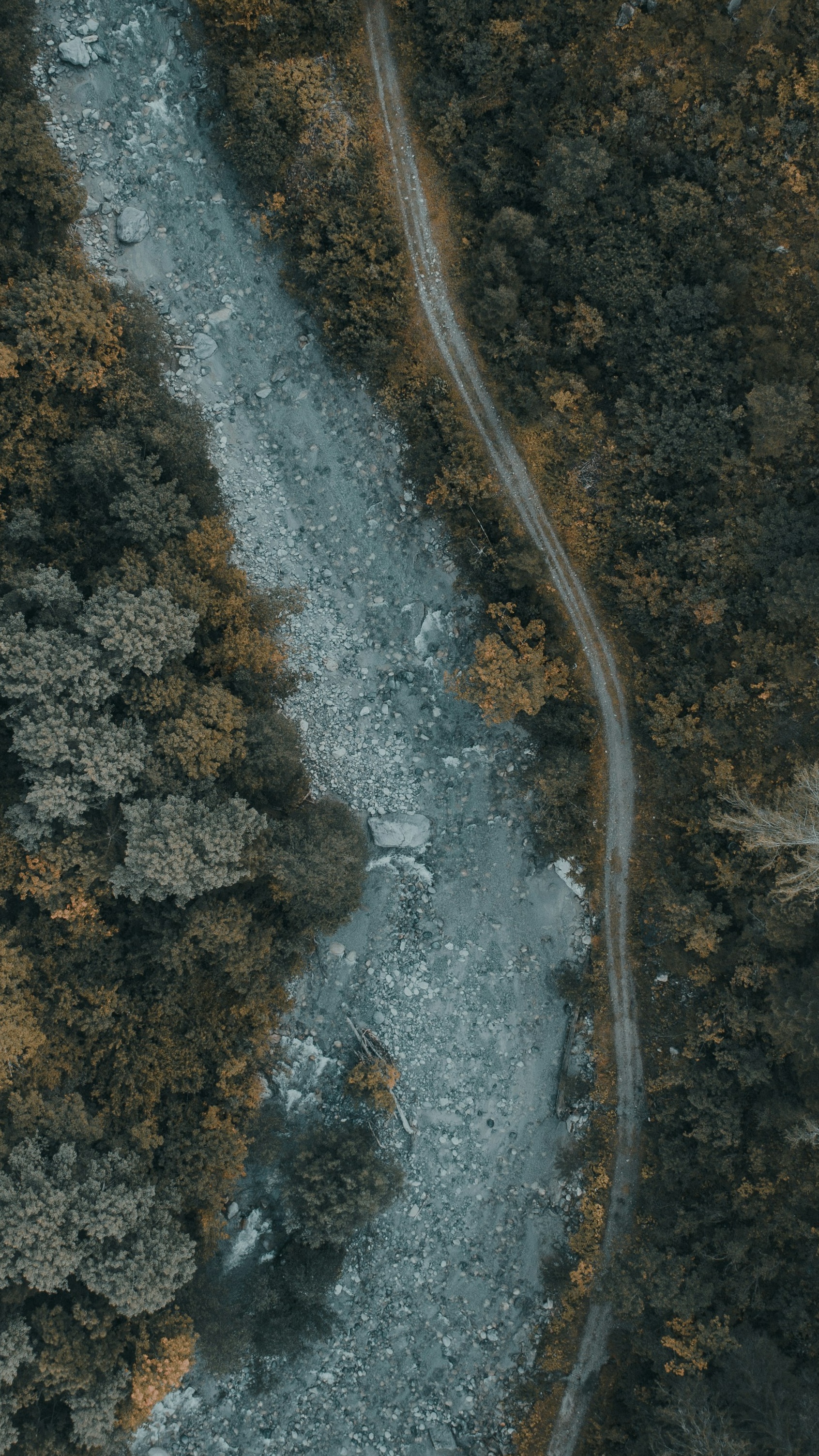Wallpapers