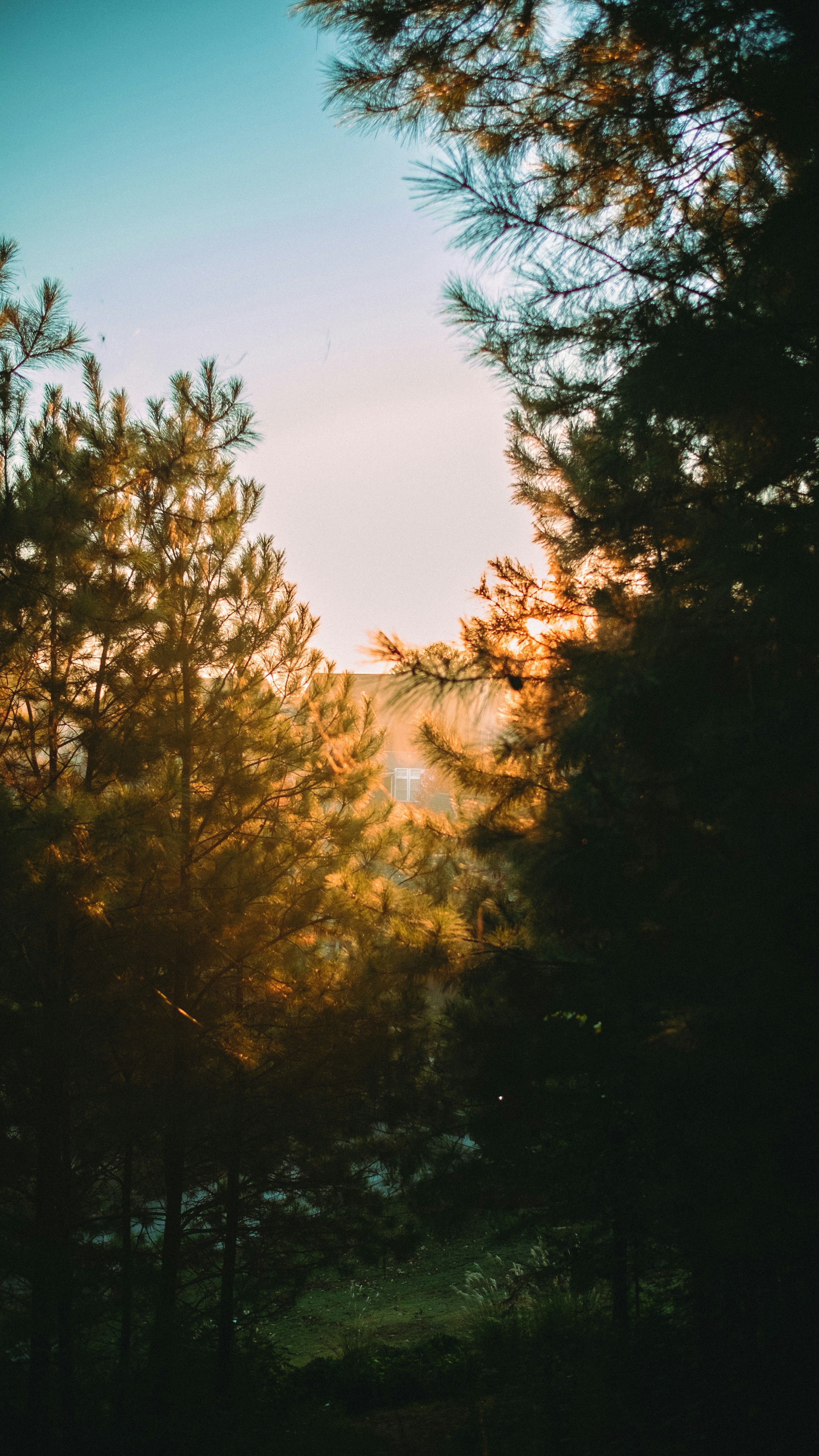 Wallpapers