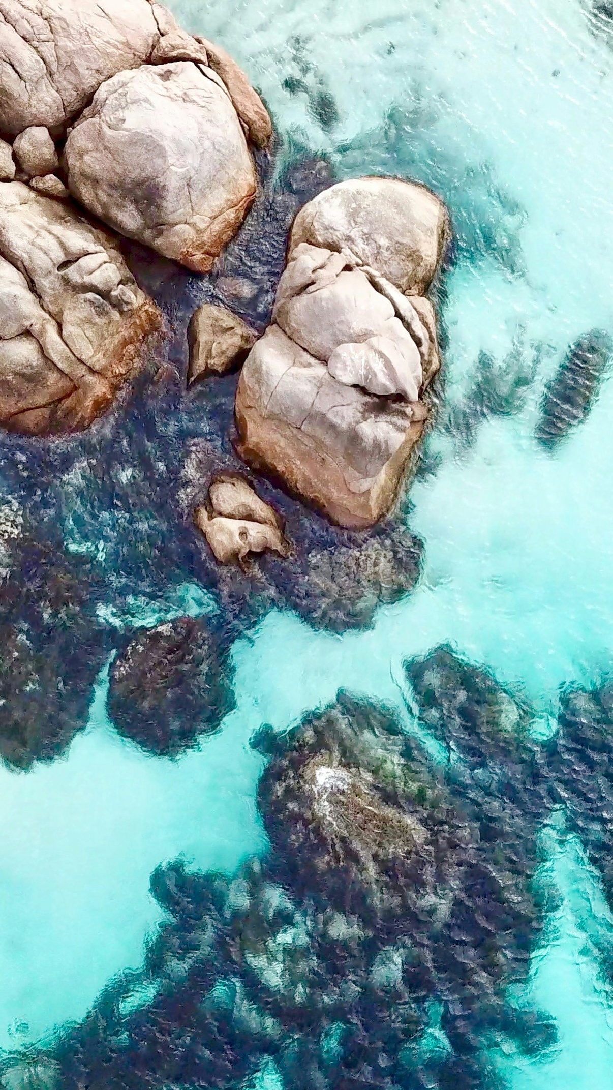 Wallpapers