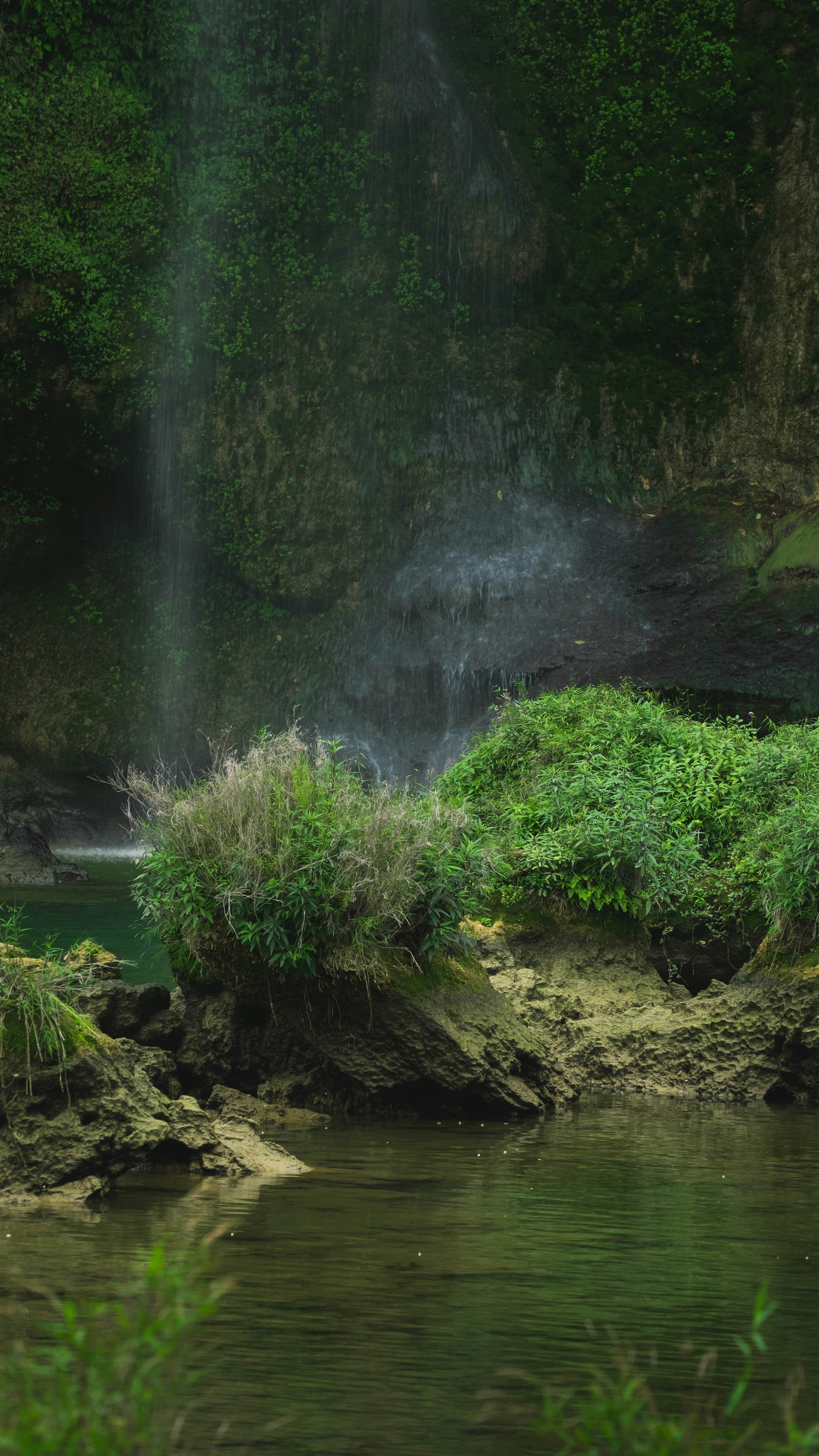 Secluded Forest Waterfall
