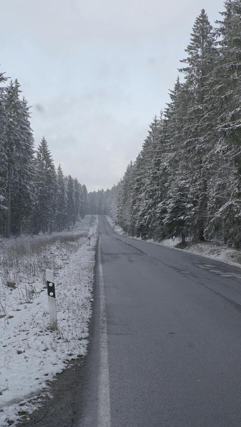 Snowy Forest Road in Winter