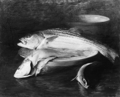 Still Life with Fish