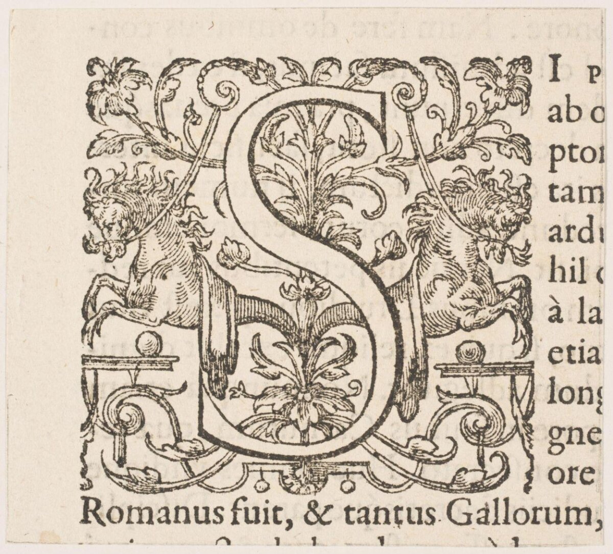 Ornate Decorated Initial Letter S Woodcut