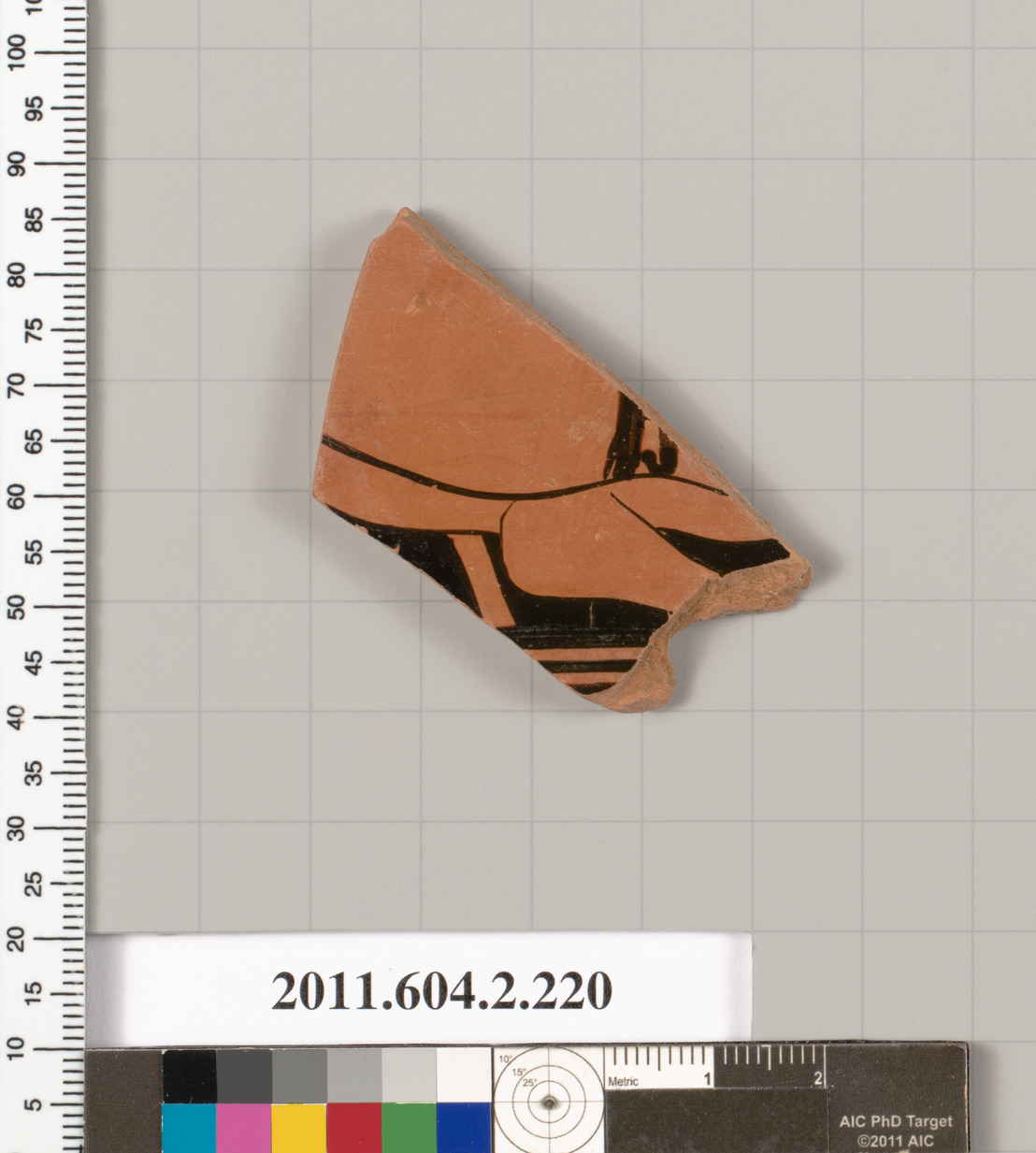 Ancient Pottery Fragment