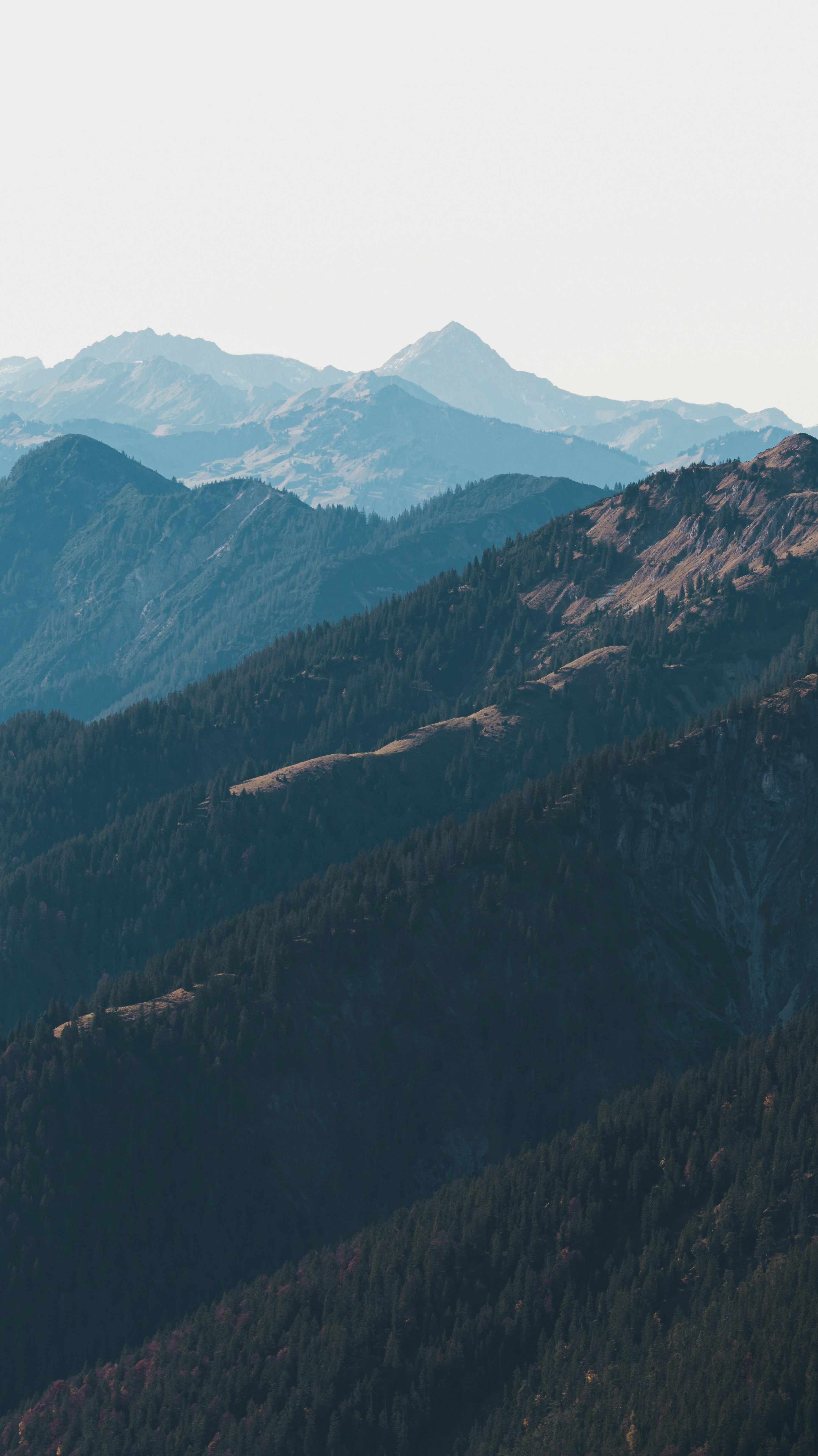 Layered Forested Mountain Landscape