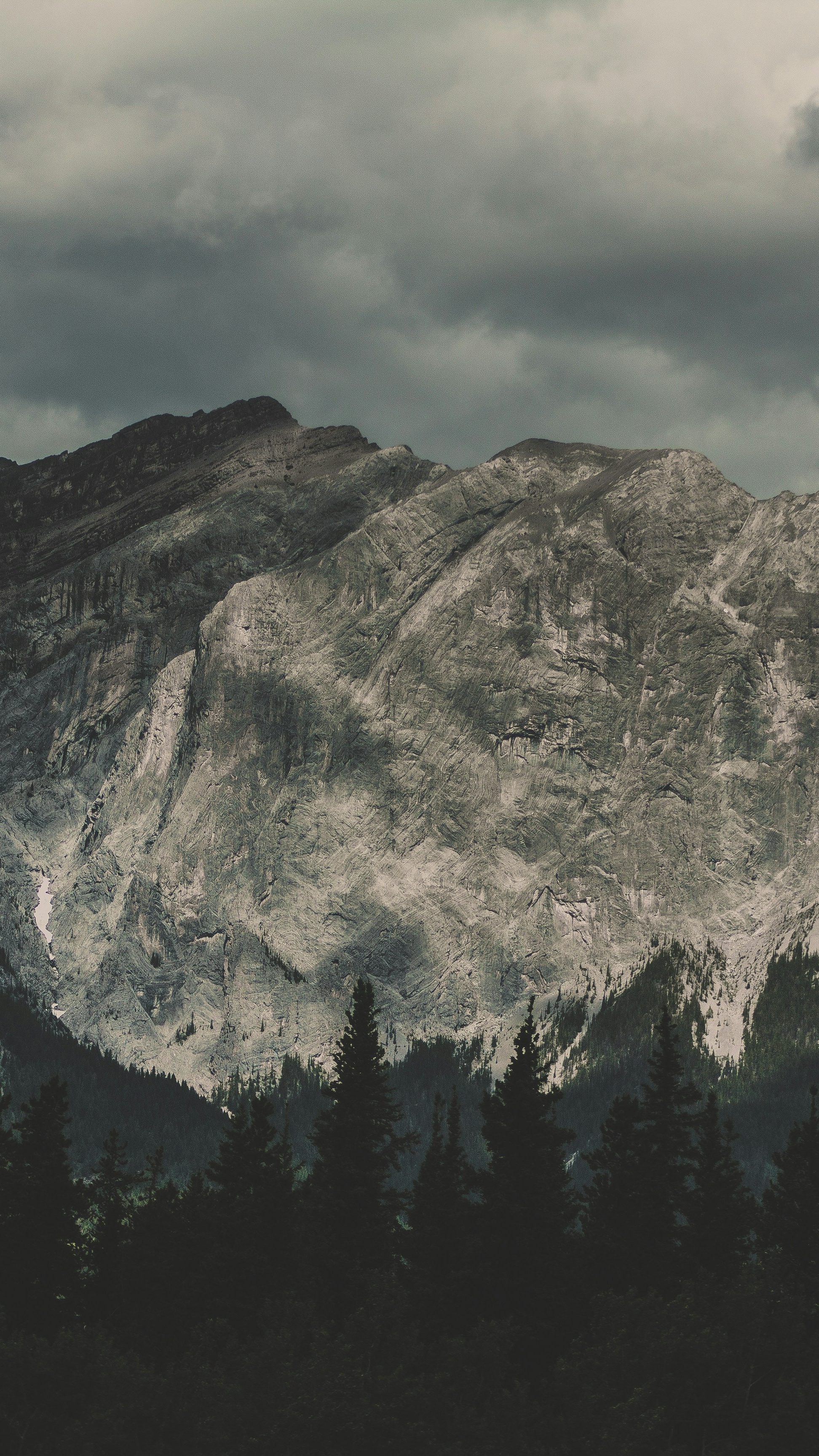 Cloudy Rocky Mountains with Coniferous Forest