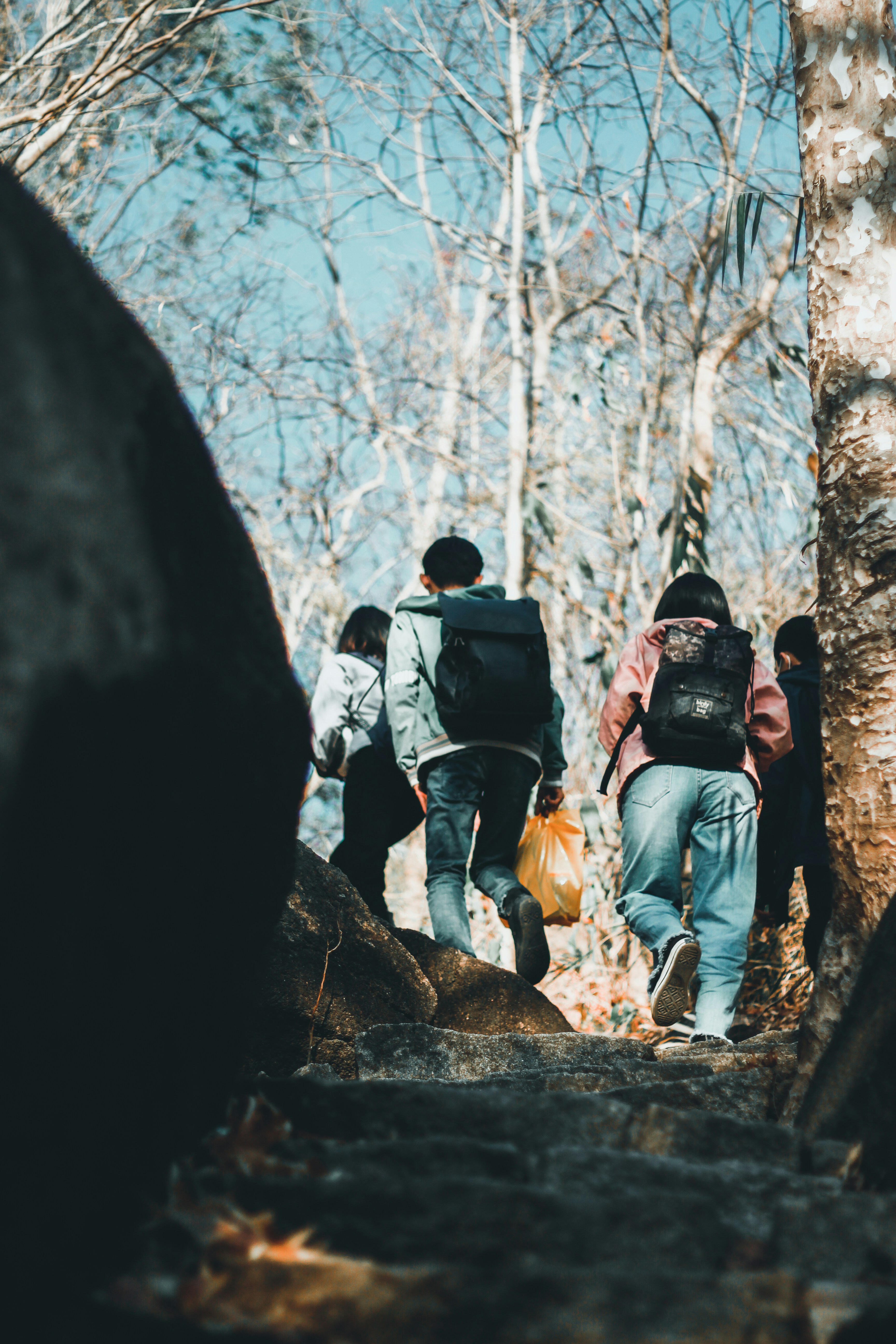 Group Hiking Up Forest Trail