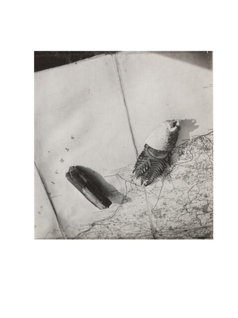 Natural Objects on Vintage Map
