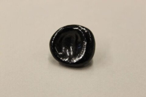 Black Glossy Round Button