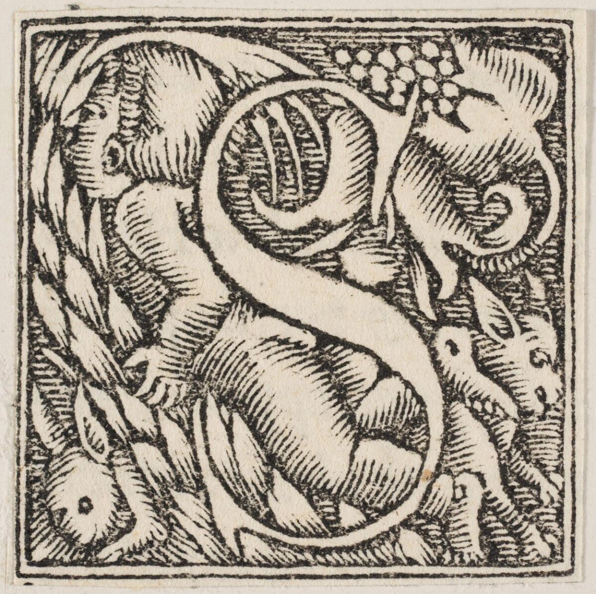 Woodcut Decorative Letter S