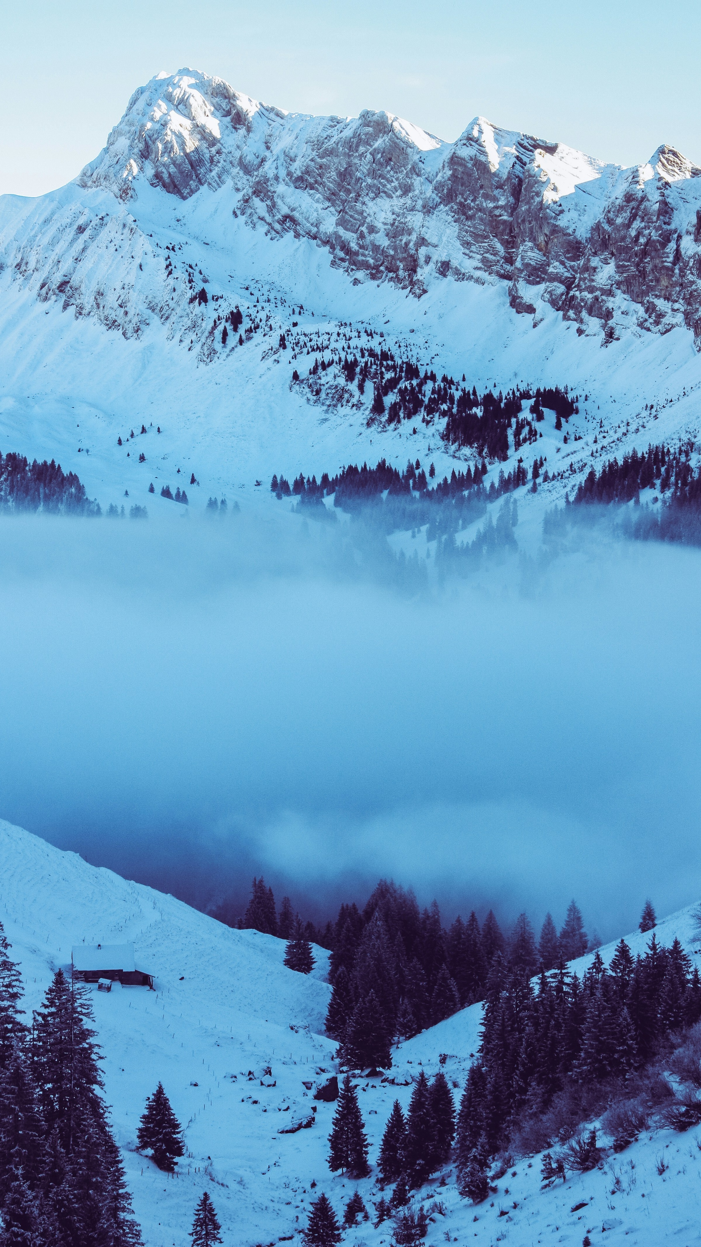 Wallpapers