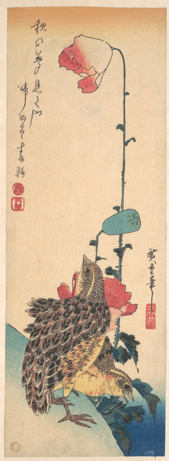 Two Quails and Poppies Ukiyo-e Print