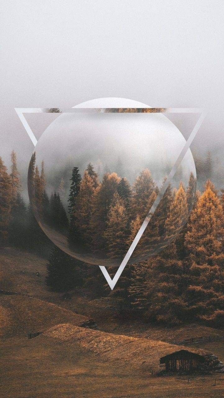 Wallpapers