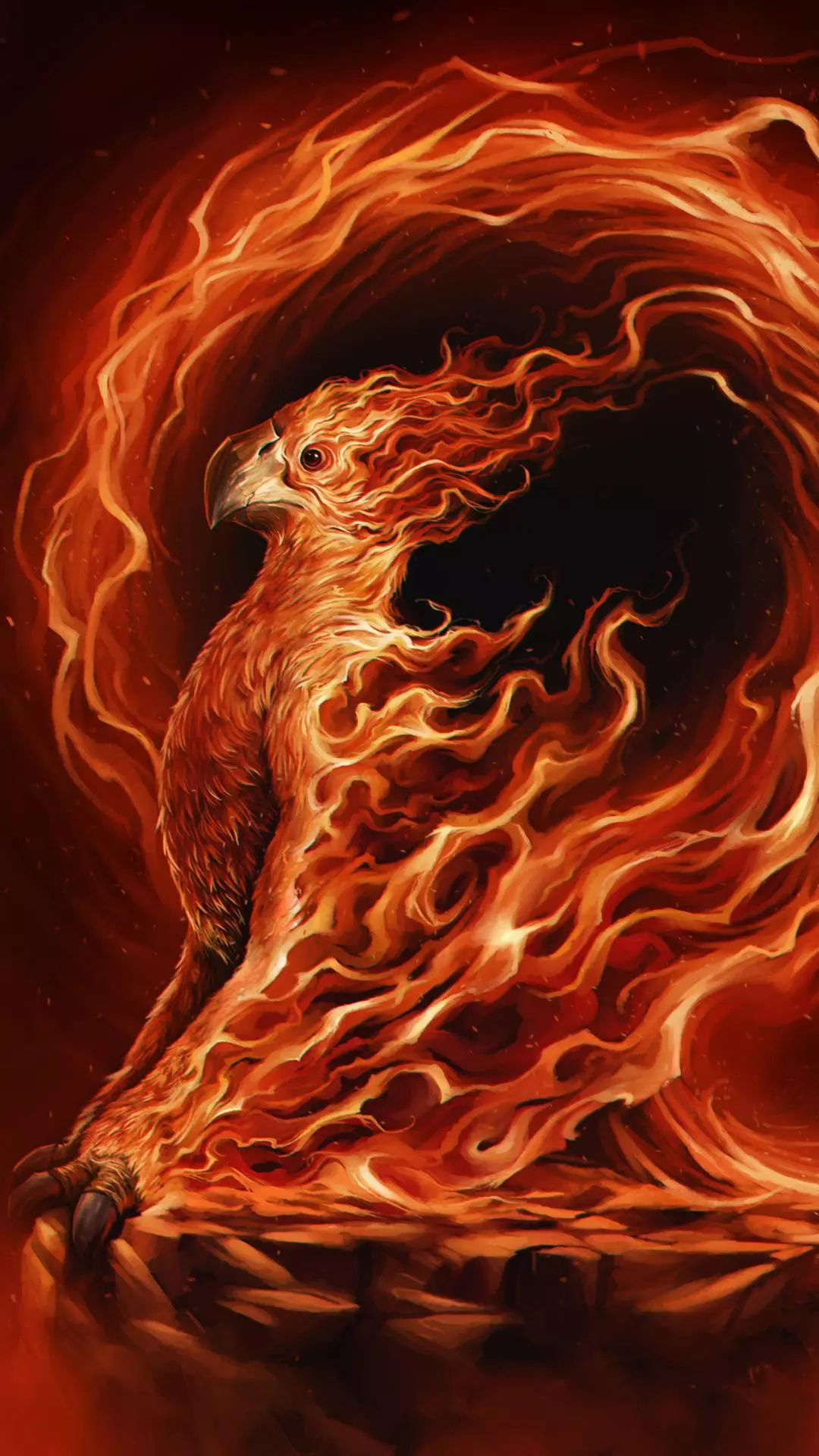 Wallpapers