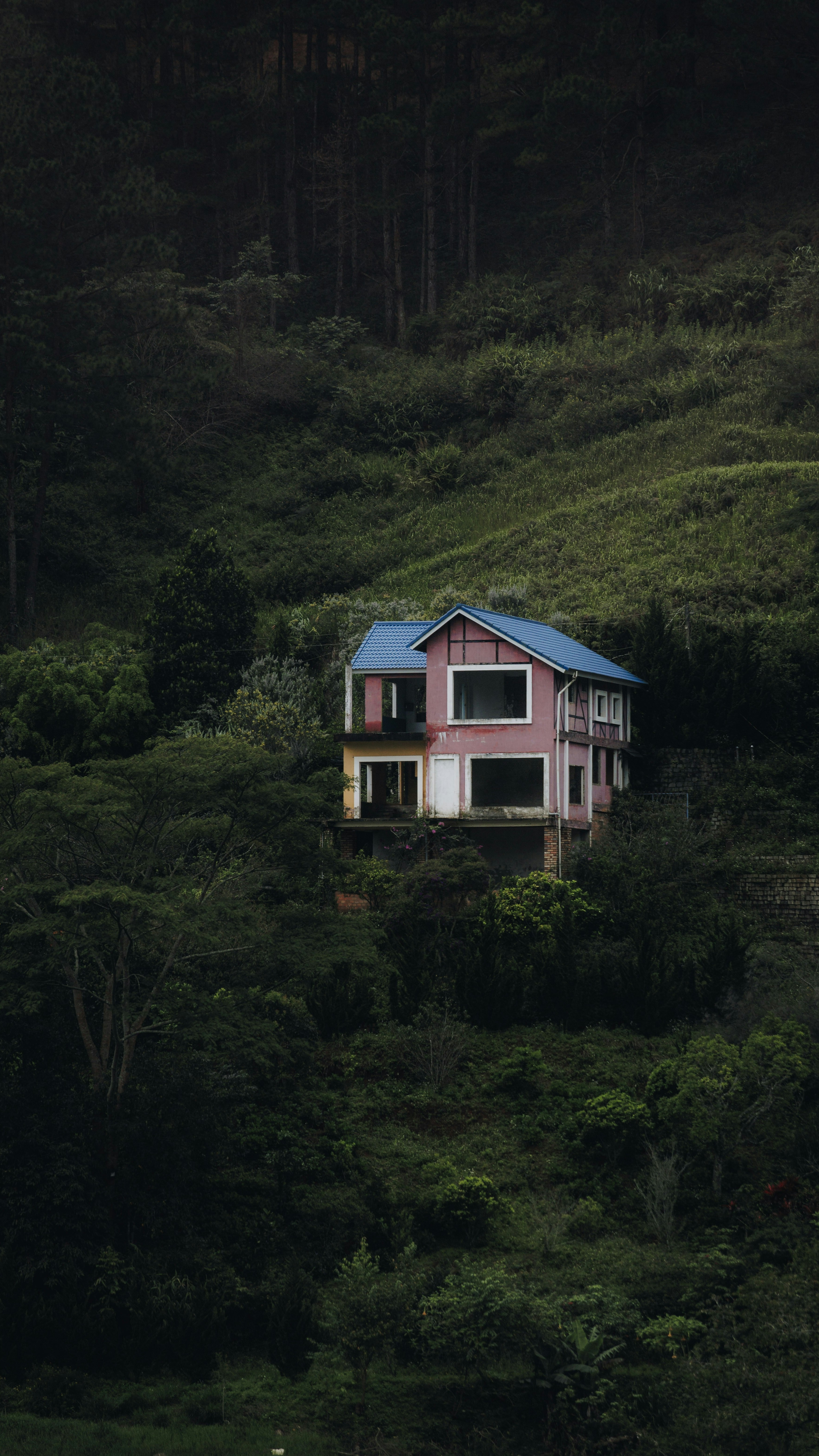 Pink House on Forested Hillside