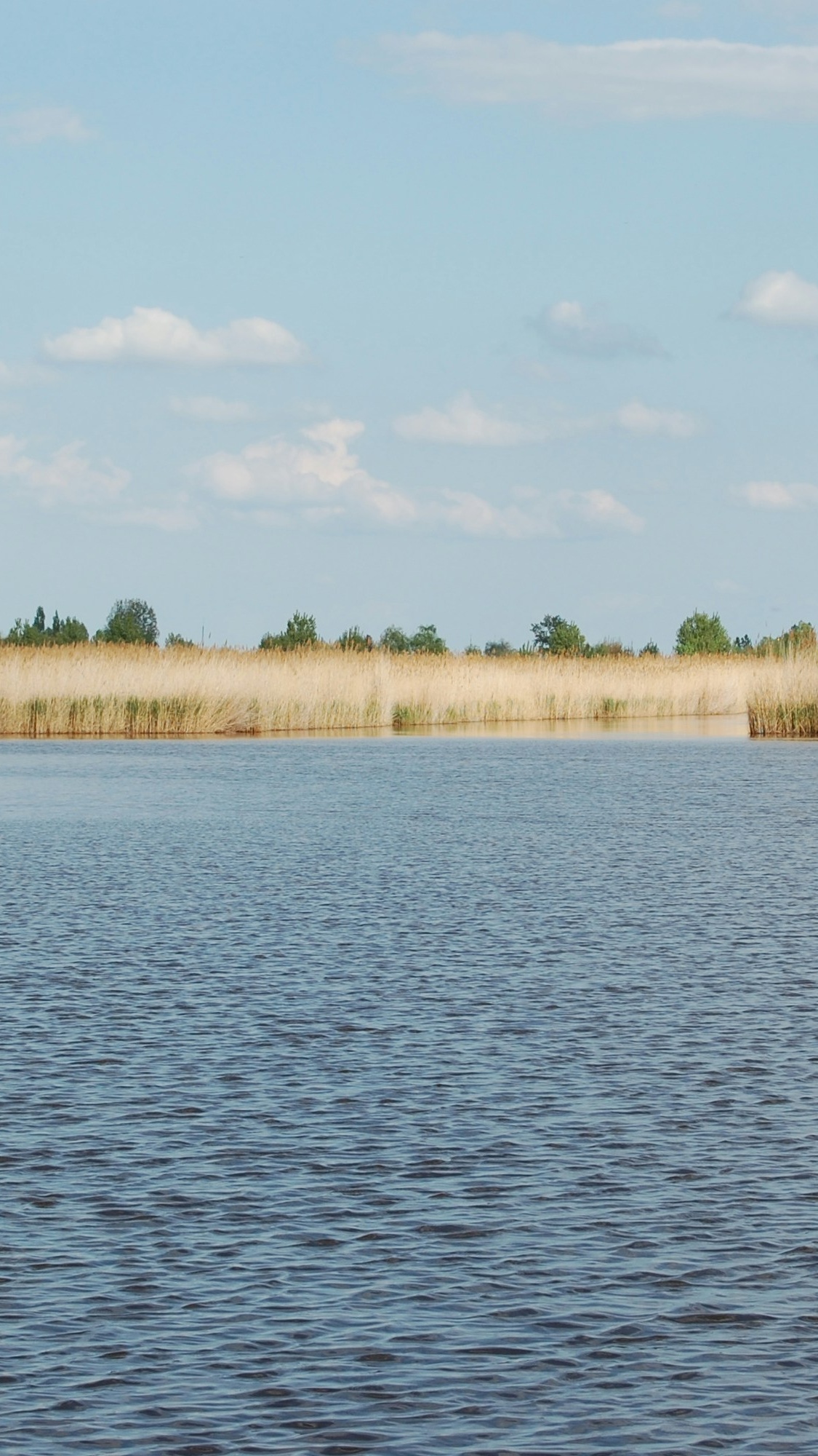 Calm Lake Wetland Landscape
